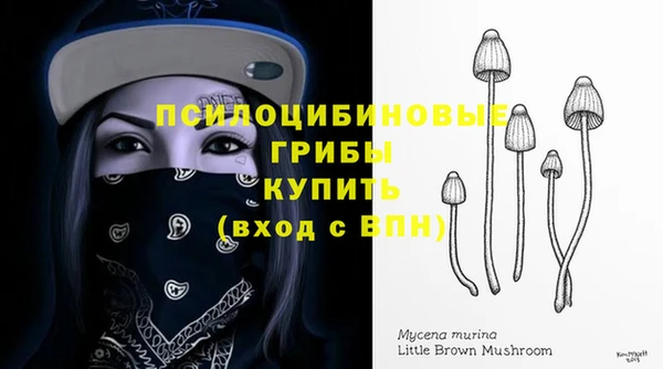 MDMA Premium VHQ Аркадак