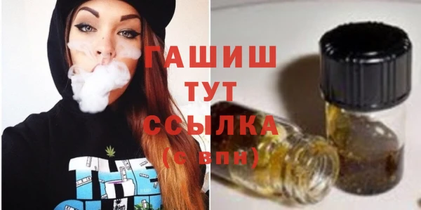 сатива Армянск