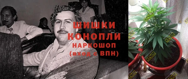 сатива Армянск
