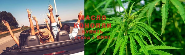 сатива Армянск