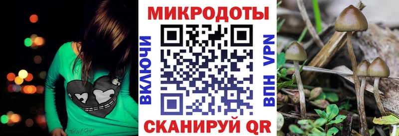хочу наркоту  Зима  Галлюциногенные грибы Cubensis 