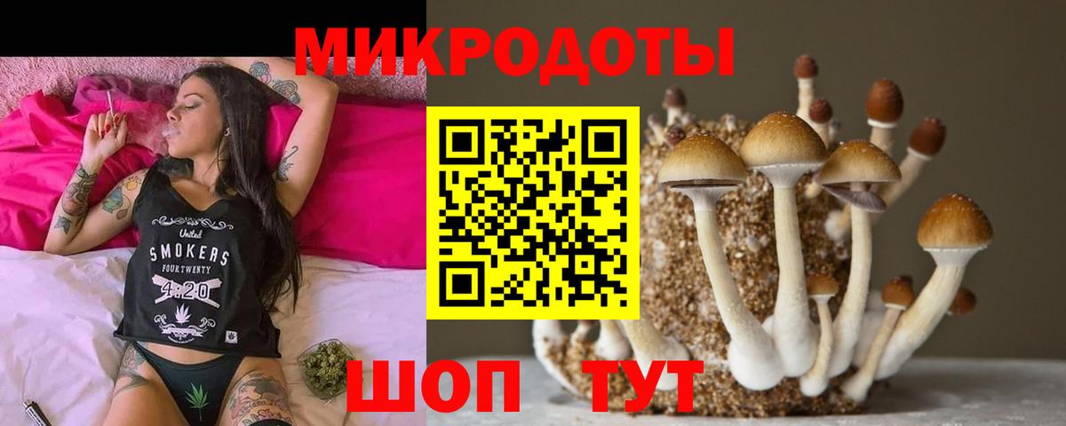 Псилоцибиновые грибы MAGIC MUSHROOMS  Псилоцибиновые грибы Psilocybine cubensis  Зима  Вход с VPN 